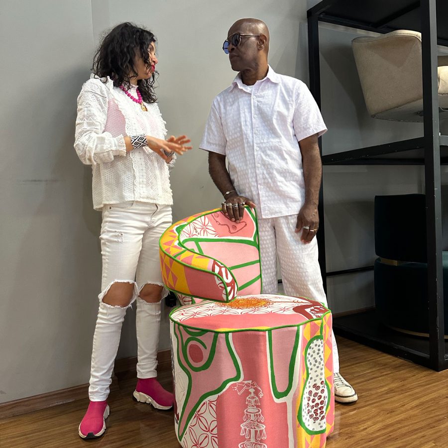 Borboleta-albertopitta-araxi-3